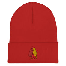 Load image into Gallery viewer, Ketchup & Mustard Condiments Embroidered Cuffed Beanie